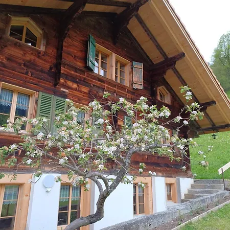 Dorfblick Apartment