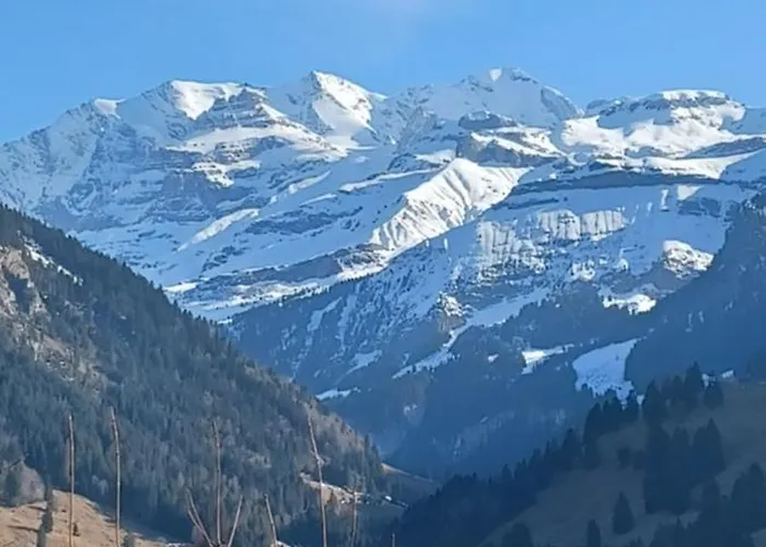 Dorfblick Appartamento Kiental