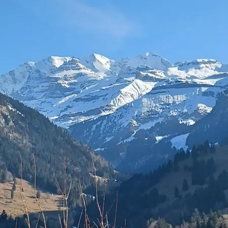 Dorfblick Apartment Kiental